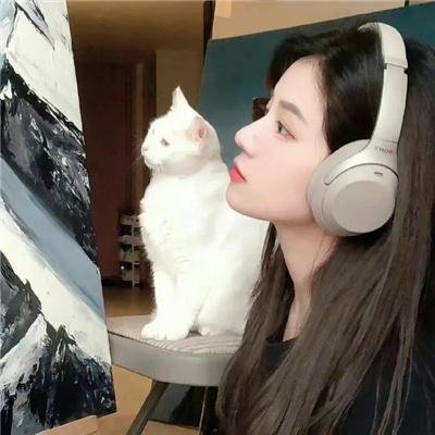 十分花少